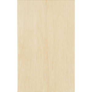 Zalakerámia Legno ZBD 42035 25*40
