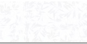 Idea Papeete white 25x75