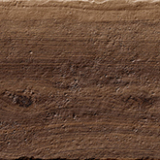 Isla Legni d'italia noce italiano Massello 30x120 REC 