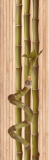 Zalakerámia Bamboo SZ-4002 40x12